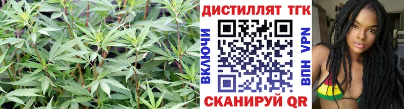 Дистиллят ТГК жижа  Петровск-Забайкальский 